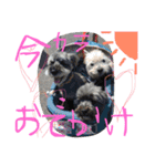 おばかちゃん's（個別スタンプ：16）