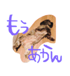 おばかちゃん's（個別スタンプ：21）