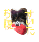 おばかちゃん's（個別スタンプ：23）