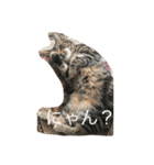 くーちゃんの日常（個別スタンプ：3）