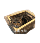 くーちゃんの日常（個別スタンプ：9）