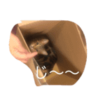 くーちゃんの日常（個別スタンプ：11）
