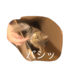 くーちゃんの日常（個別スタンプ：12）