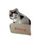 おひげのいる生活。（個別スタンプ：7）