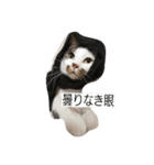 おひげのいる生活。（個別スタンプ：8）