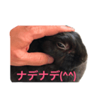 トトくん2（個別スタンプ：4）