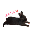 トトくん2（個別スタンプ：7）