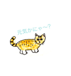 ねこねこねここ（個別スタンプ：7）