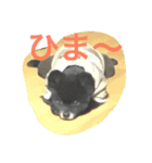 うちのぴのです。（個別スタンプ：4）