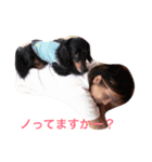 かわいさんちのスタンプです（個別スタンプ：2）