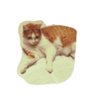 にしだて家のねこねこねこ（個別スタンプ：5）