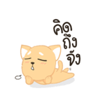 Sommhai is a cat（個別スタンプ：3）
