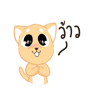 Sommhai is a cat（個別スタンプ：9）