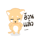 Sommhai is a cat（個別スタンプ：11）