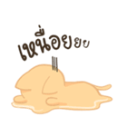 Sommhai is a cat（個別スタンプ：16）
