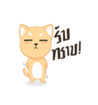 Sommhai is a cat（個別スタンプ：20）