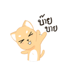 Sommhai is a cat（個別スタンプ：21）