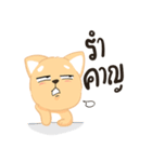 Sommhai is a cat（個別スタンプ：32）