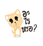 Sommhai is a cat（個別スタンプ：33）