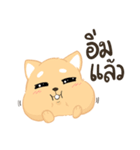 Sommhai is a cat（個別スタンプ：35）