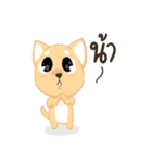 Sommhai is a cat（個別スタンプ：38）