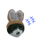 babibu（個別スタンプ：5）