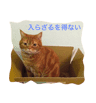 もにおスタンプ（個別スタンプ：2）