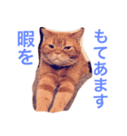 もにおスタンプ（個別スタンプ：3）