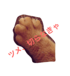 もにおスタンプ（個別スタンプ：4）