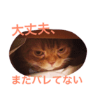 もにおスタンプ（個別スタンプ：7）