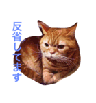 もにおスタンプ（個別スタンプ：8）