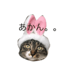 パンナ（個別スタンプ：3）