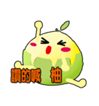 Grapefruit pomelo praise（個別スタンプ：8）