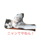 イトウの源（個別スタンプ：3）