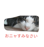 イトウの源（個別スタンプ：4）