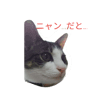イトウの源（個別スタンプ：5）