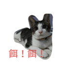 イトウの源（個別スタンプ：8）