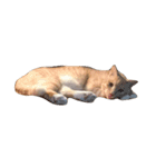 私の猫ちゃんマイケル（個別スタンプ：3）
