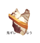 ねこのスーちゃんスタンプ（個別スタンプ：5）