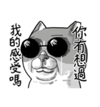 Goodman Cat（個別スタンプ：2）