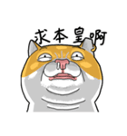 Goodman Cat（個別スタンプ：5）