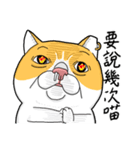 Goodman Cat（個別スタンプ：13）