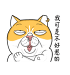 Goodman Cat（個別スタンプ：19）