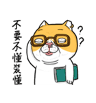 Goodman Cat（個別スタンプ：31）