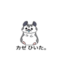 ハムグダー（個別スタンプ：4）