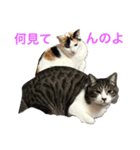 アルとるな（個別スタンプ：1）
