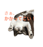アルとるな（個別スタンプ：2）