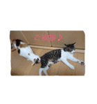 アルとるな（個別スタンプ：11）