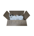 アルとるな（個別スタンプ：12）