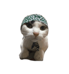 アルとるな（個別スタンプ：16）
